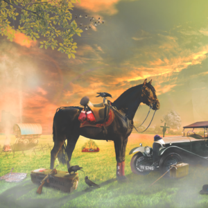 By Order Of.... (Peaky Blinders)